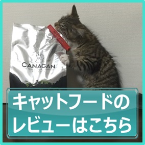 カナガンキャットフードの評判・口コミ